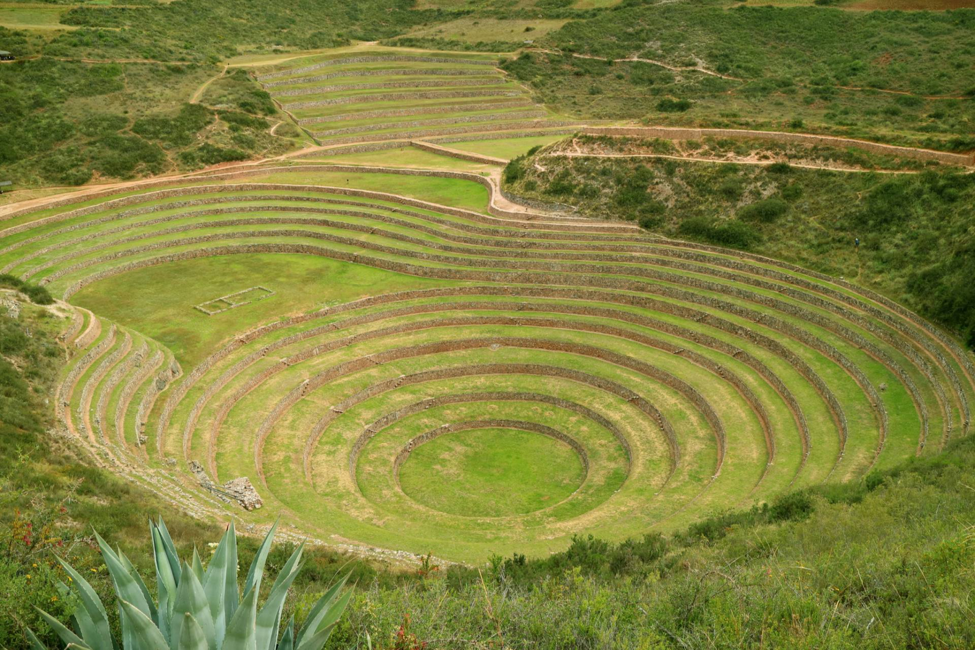 Cocatambo, punto de partida para explorar el Valle Sagrado con hospitalidad andina