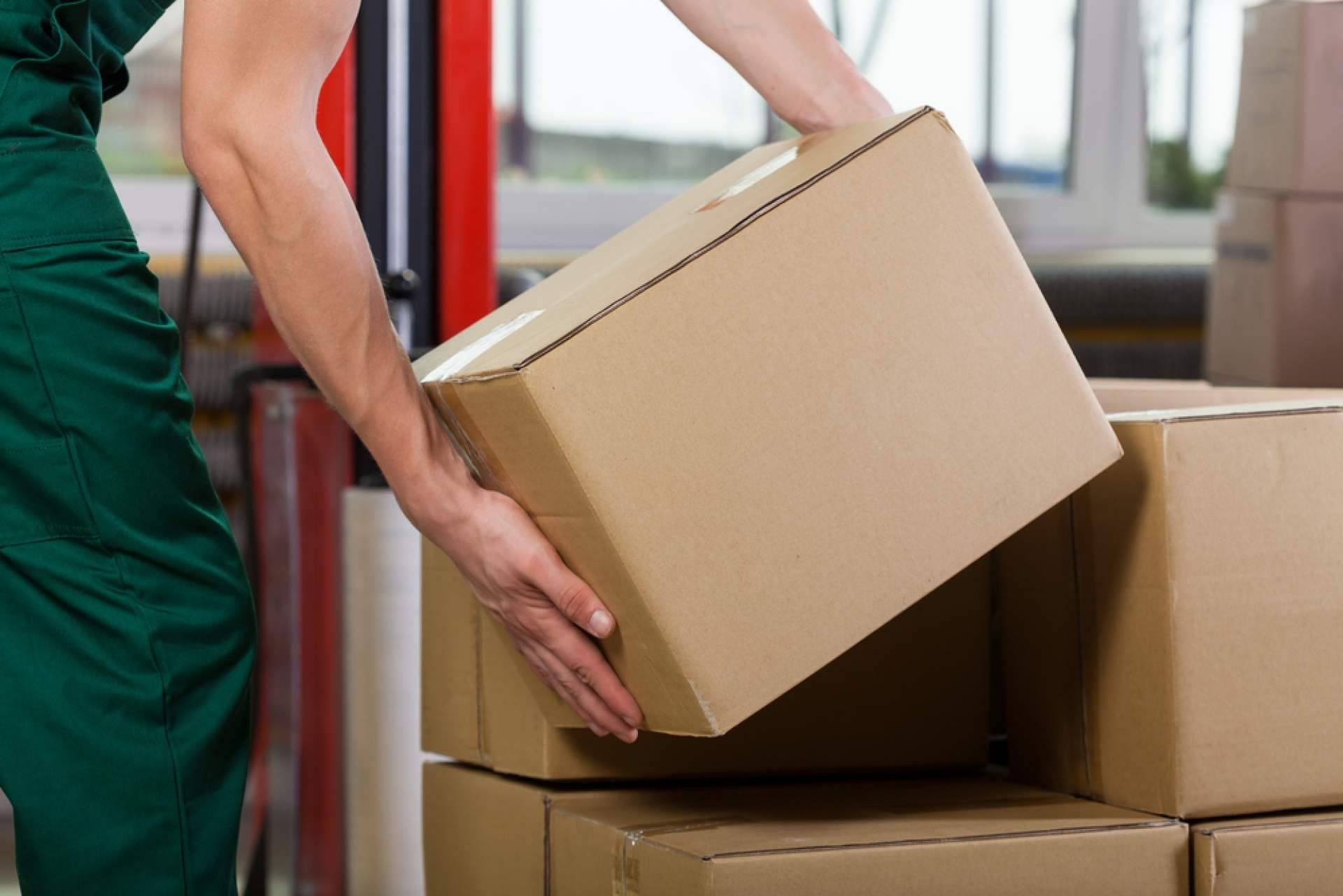 Preparación logística para la temporada alta; el factor clave del éxito empresarial