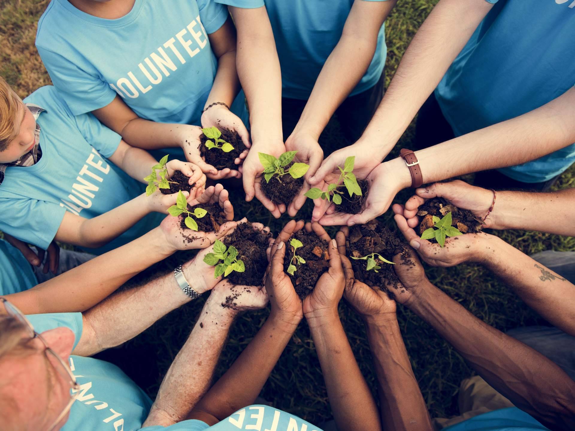 Hacerse voluntario en una ONG transforma vidas; Human Appeal impulsa el compromiso solidario