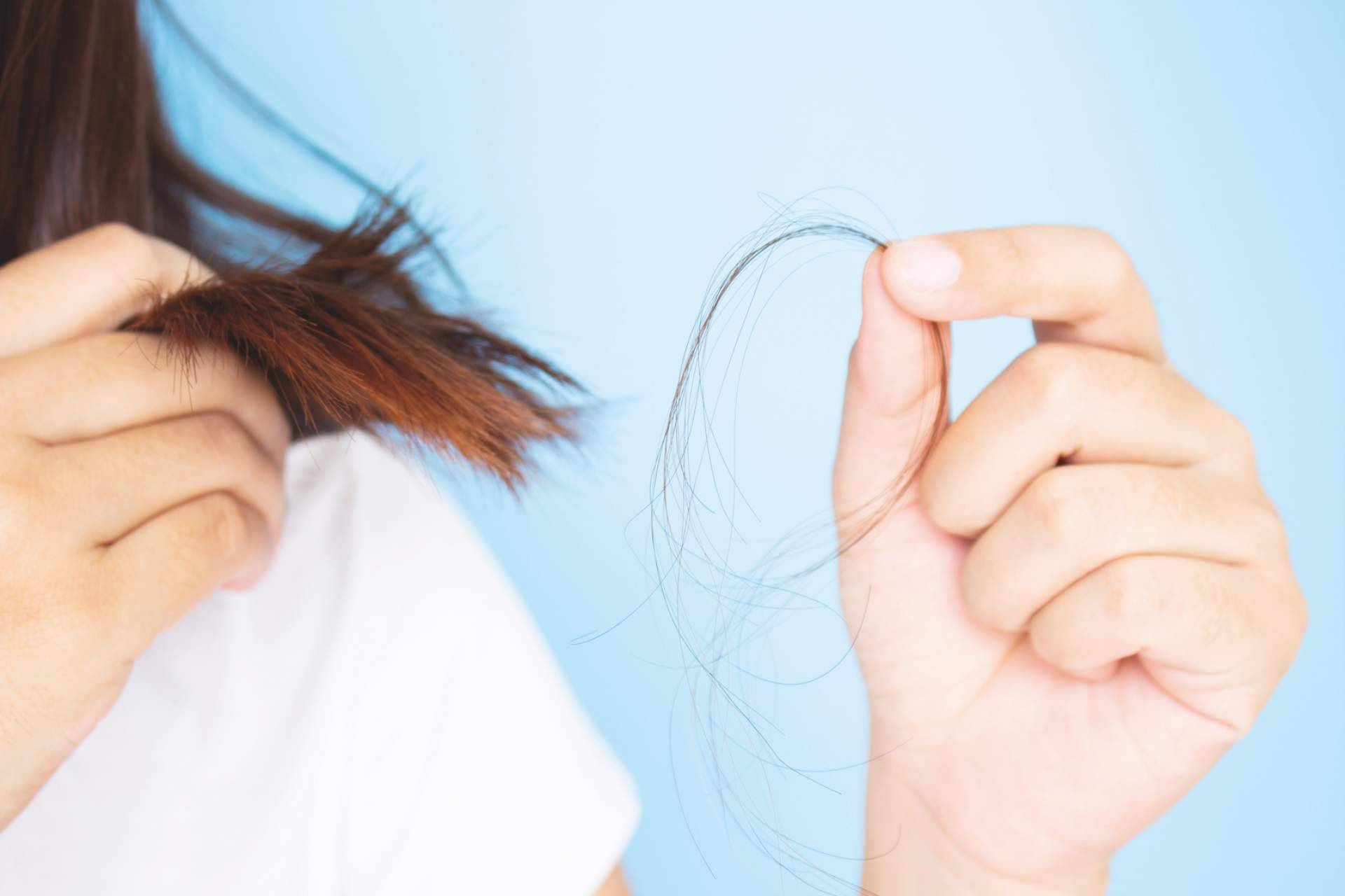 Fórmulas y consejos prácticos para un cabello protegido este invierno
