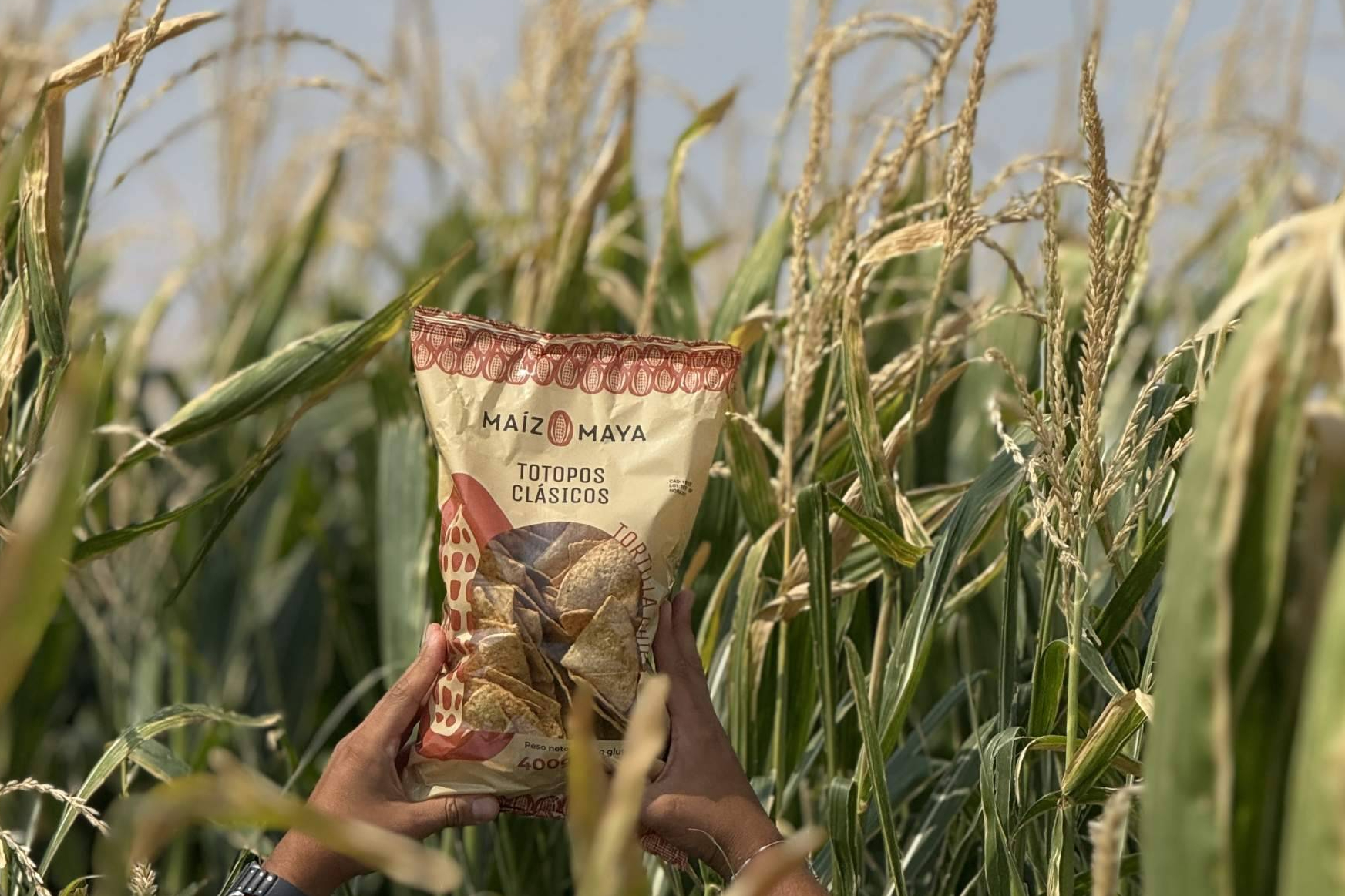 Nixtamalización tradicional; el método con el que Maíz Maya consolida tortillas mexicanas en España