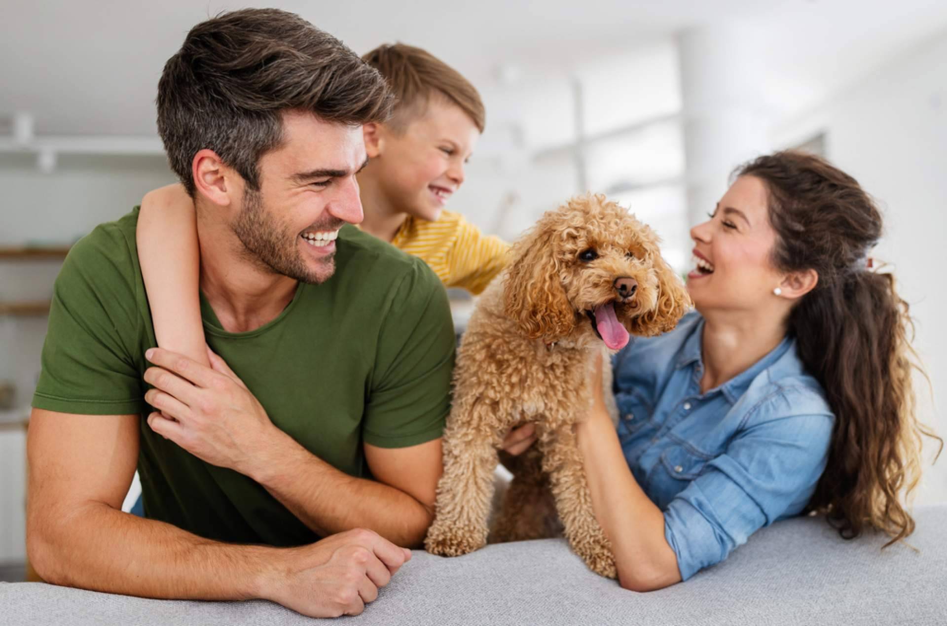Zoovify impulsa su tienda online de productos virales de TikTok para cocina, hogar, belleza, mascotas y jardín