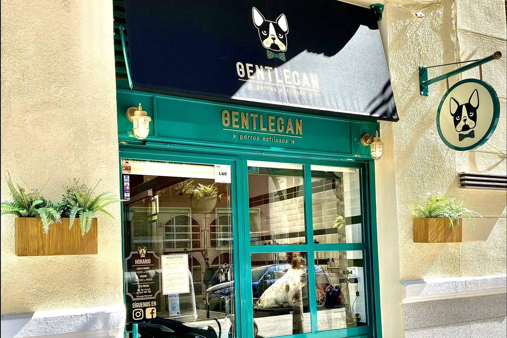 Gentlecan destaca en el sector de peluquería canina en Madrid con un estilismo adaptado a cada perro