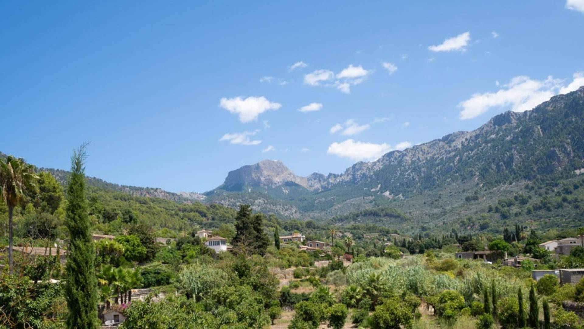 La venta de propiedad en Sóller de la mano de una inmobiliaria especializada como Inmosoller