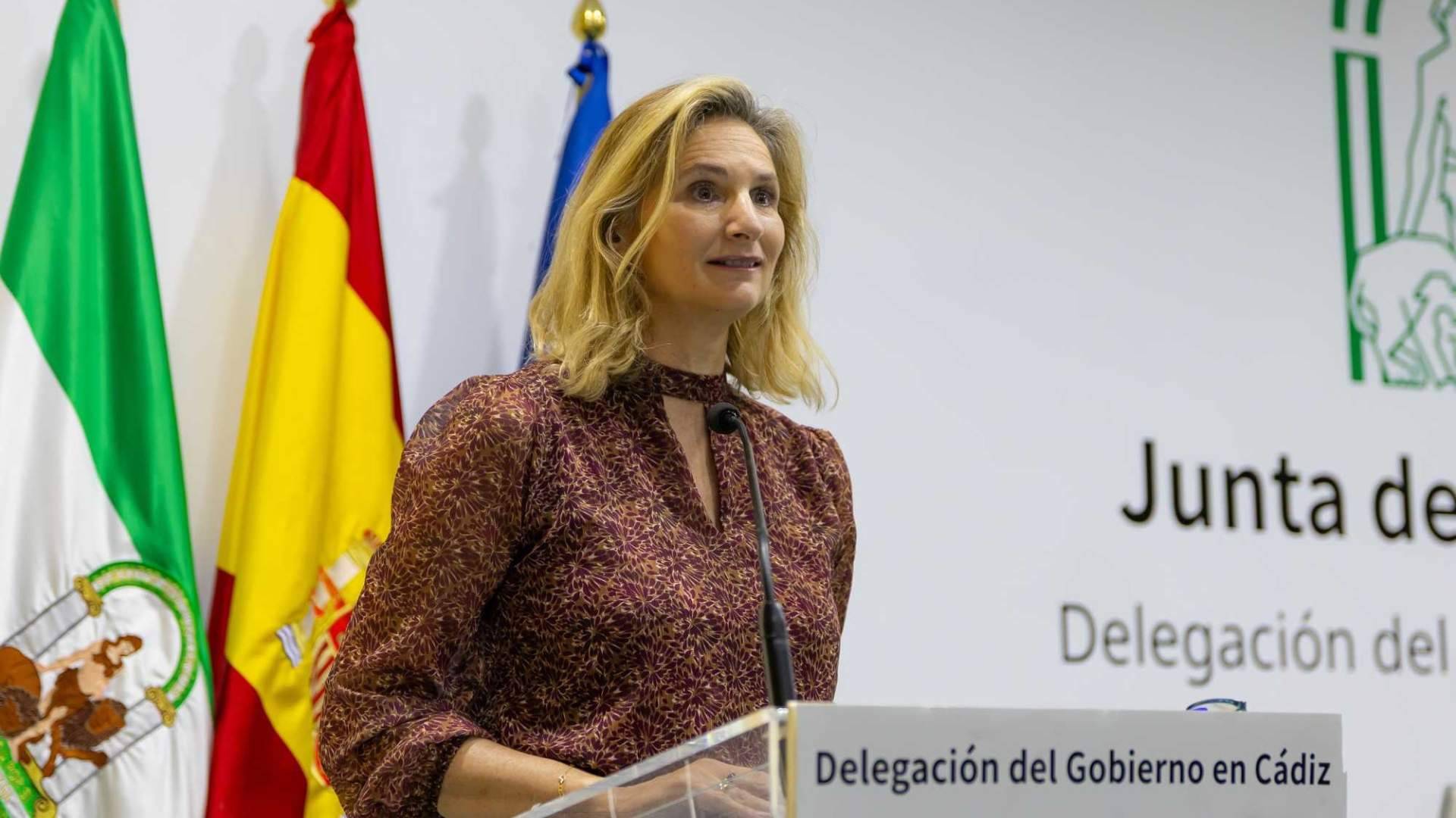 Acuerdo de análisis en Cádiz, El Consejo General API, el Senado y la Junta de Andalucía examinan a fondo