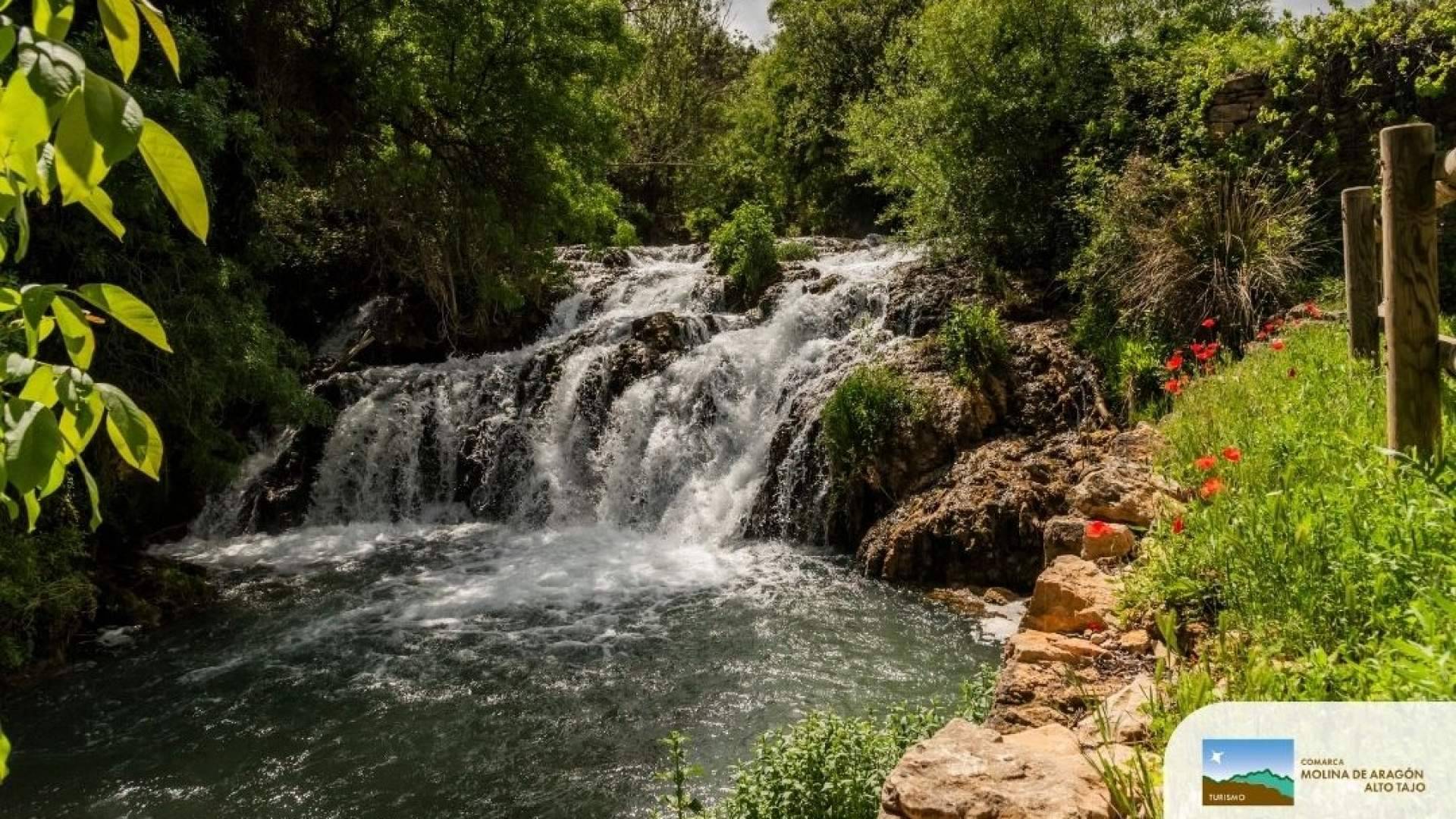 Molina de Aragón – Alto Tajo refuerza su posicionamiento con su nueva marca turística